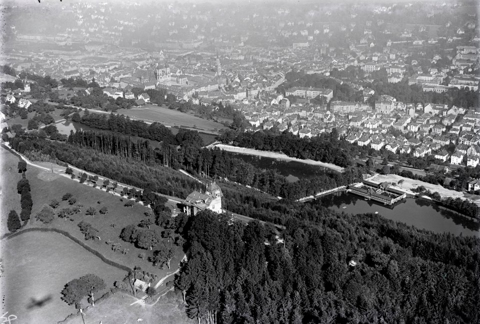ETH-BIB-St. Gallen, Freudenbergwald, Drei Linden aus 1000 m-Inlandflüge-LBS MH01-003727