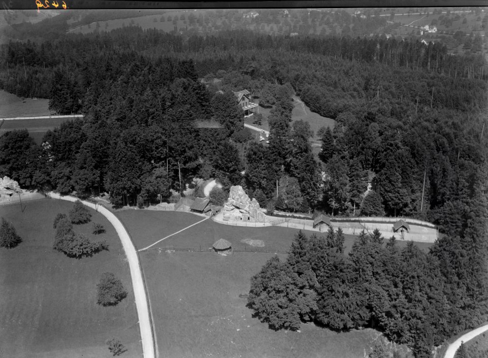 ETH-BIB-St. Gallen, Wildpark Peter & Paul-Inlandflüge-LBS MH01-006429
