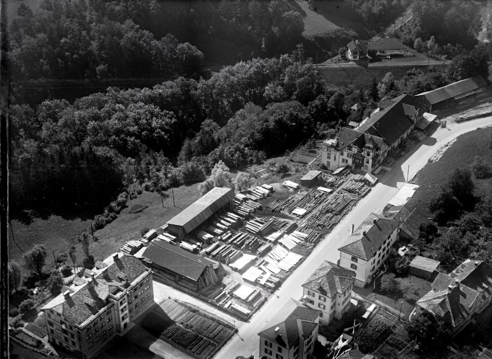 ETH-BIB-St. Gallen, Rehkate, Fisch & Co.-Inlandflüge-LBS MH03-0982