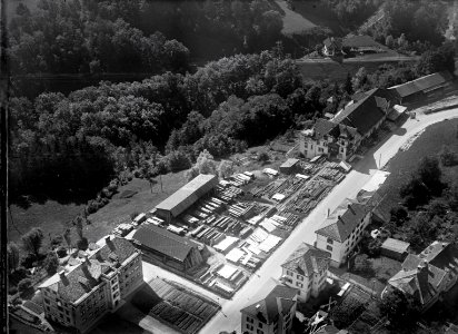 ETH-BIB-St. Gallen, Rehkate, Fisch & Co.-Inlandflüge-LBS MH03-0982