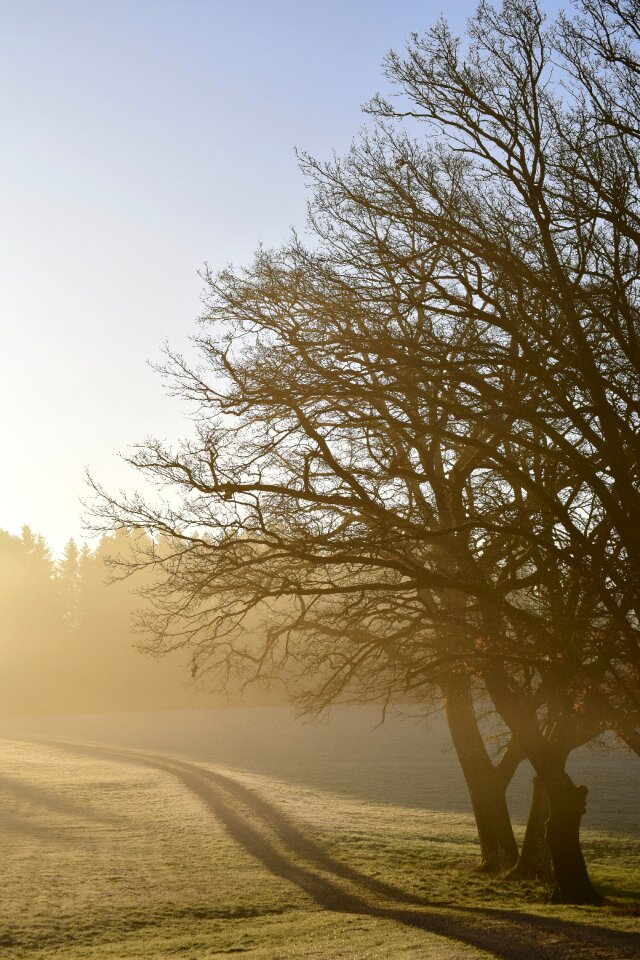 Dawn haze sunrise photo