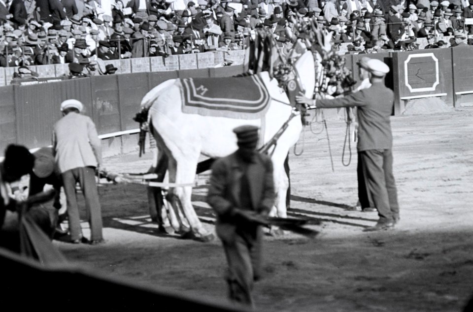 ETH-BIB-Stierkampf in Sevilla-Nordafrikaflug 1932-LBS MH02-13-0521