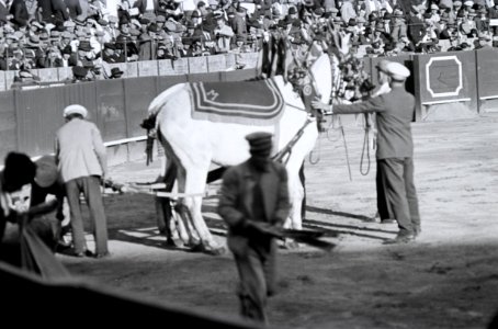 ETH-BIB-Stierkampf in Sevilla-Nordafrikaflug 1932-LBS MH02-13-0521