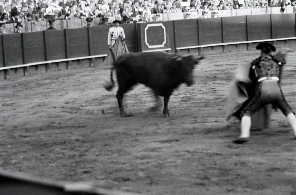 ETH-BIB-Stierkampf in Sevilla-Nordafrikaflug 1932-LBS MH02-13-0535
