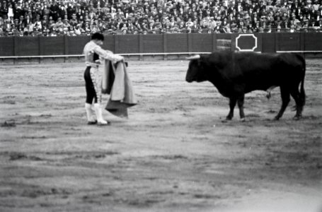 ETH-BIB-Stierkampf in Sevilla-Nordafrikaflug 1932-LBS MH02-13-0550