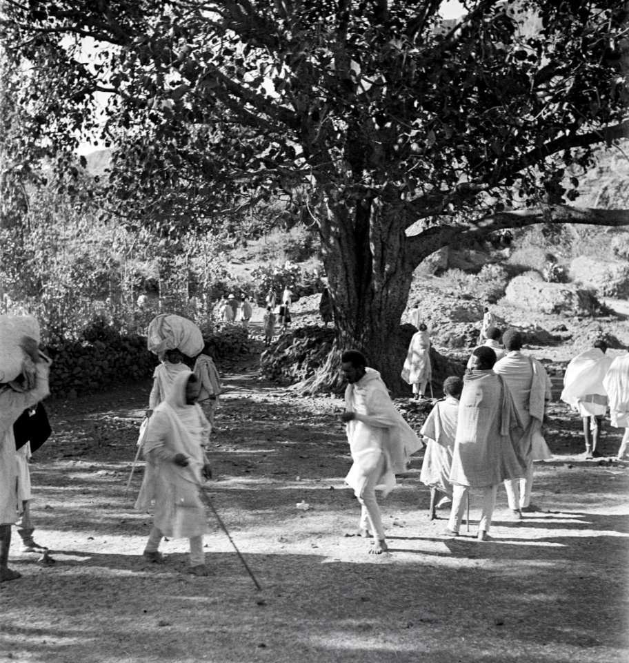 ETH-BIB-Strasse in Addis Abeba-Abessinienflug 1934-LBS MH02-22-0328