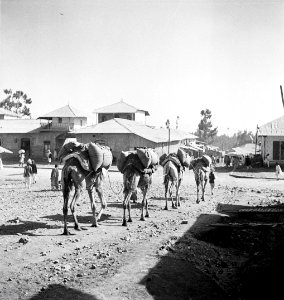 ETH-BIB-Strassenszene in Addis Abeba-Abessinienflug 1934-LBS MH02-22-0332