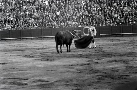 ETH-BIB-Stierkampf in Sevilla-Nordafrikaflug 1932-LBS MH02-13-0528