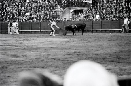 ETH-BIB-Stierkampf in Sevilla-Nordafrikaflug 1932-LBS MH02-13-0542