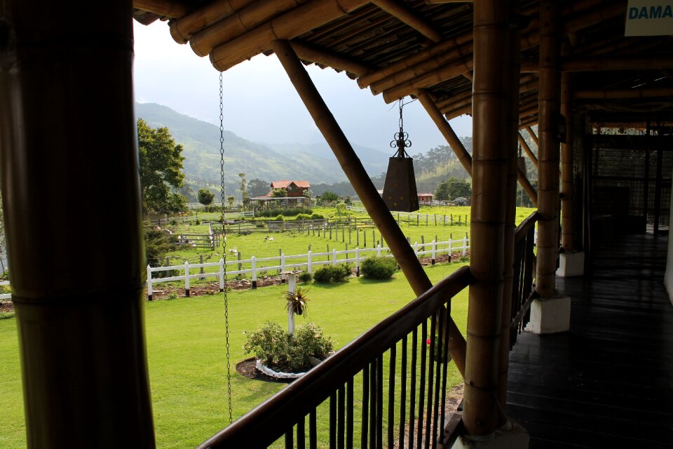 Valley cocora quindio