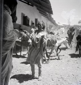 ETH-BIB-Strassenszene in Addis Abeba-Abessinienflug 1934-LBS MH02-22-0277