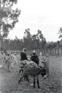 ETH-BIB-Strassenszene in Addis Abeba-Abessinienflug 1934-LBS MH02-22-0991