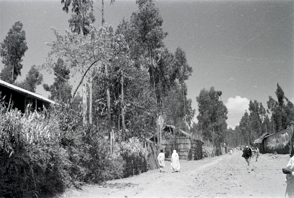 ETH-BIB-Strassenszene in einem abessinischen Ort-Abessinienflug 1934-LBS MH02-22-0974