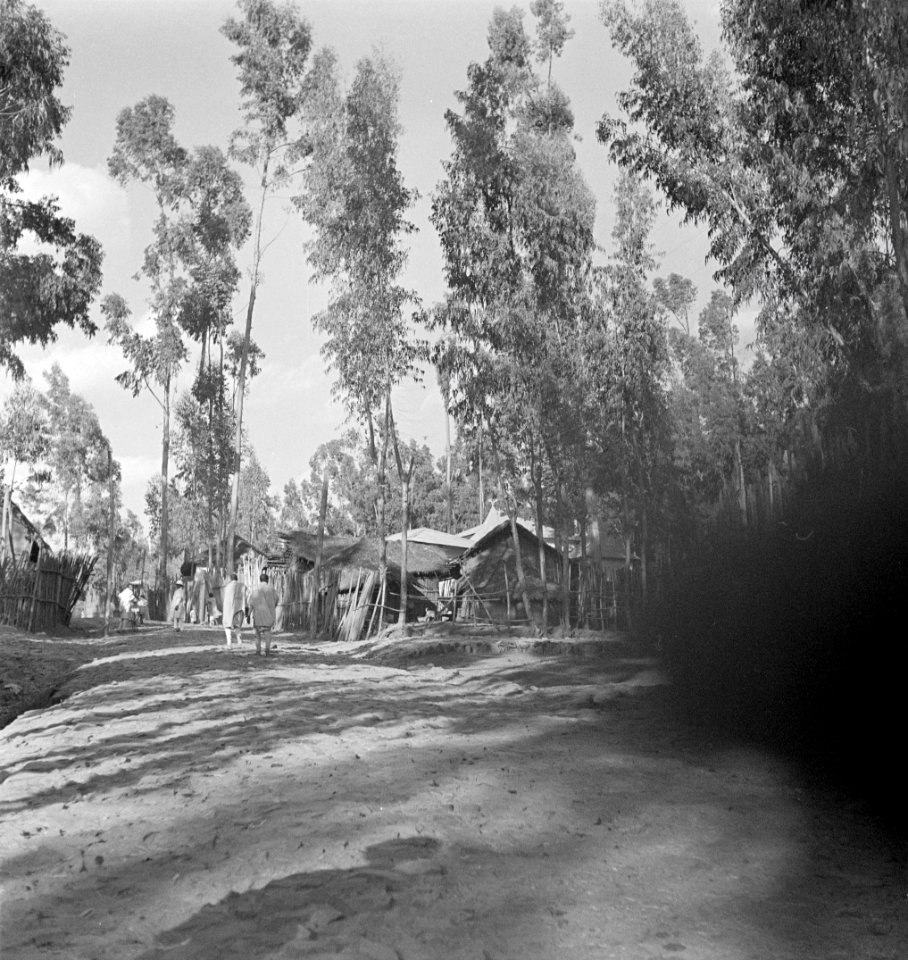 ETH-BIB-Strassenszene in Addis Abeba-Abessinienflug 1934-LBS MH02-22-0340