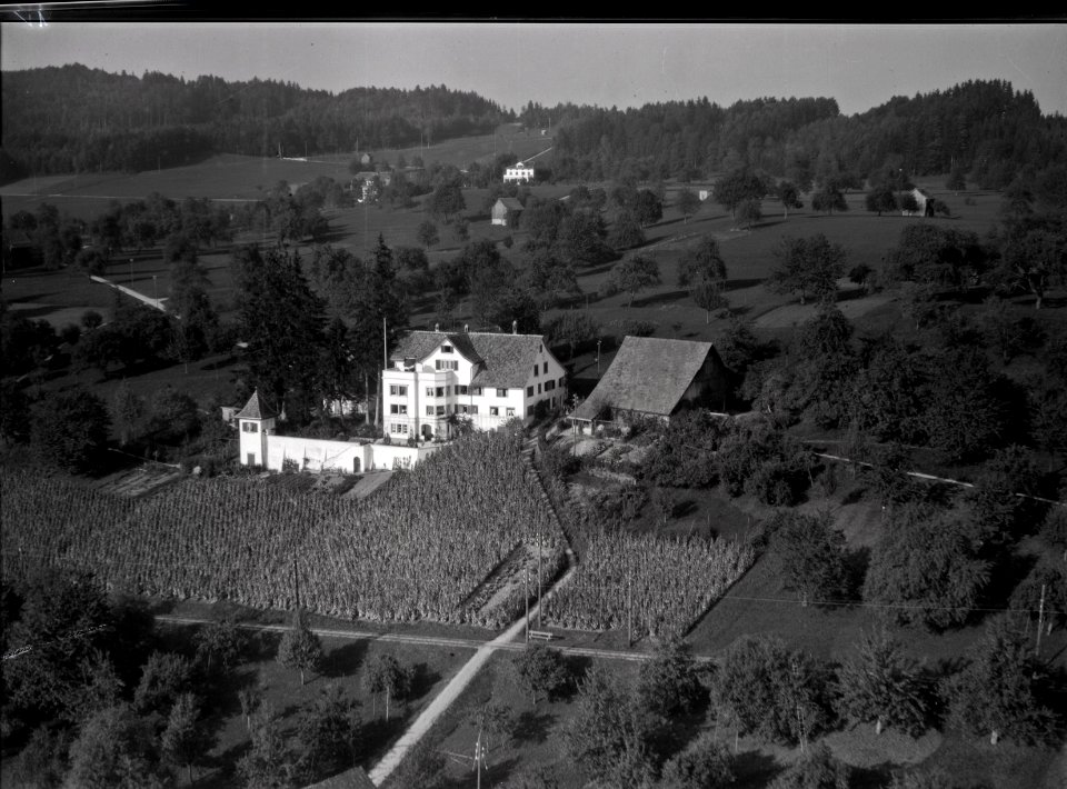 ETH-BIB-Stäfa, Villa-Inlandflüge-LBS MH03-0939