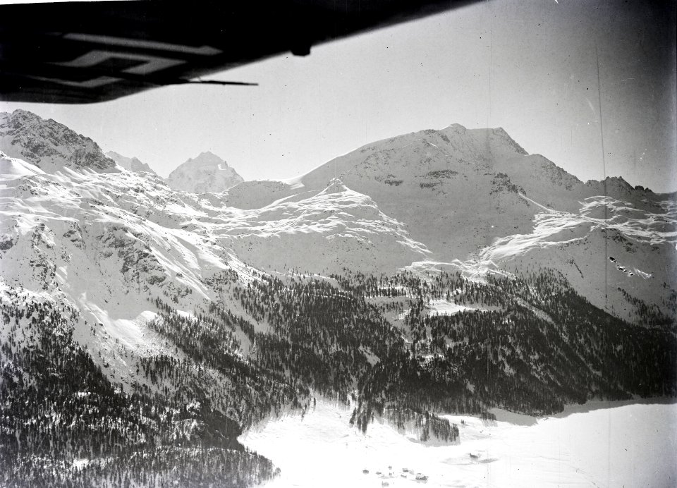 ETH-BIB-Surlej (Silvaplana), Piz Corvatsch, Piz Roseg v. N. aus 2600 m-Inlandflüge-LBS MH01-005594