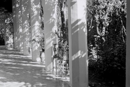 ETH-BIB-Säulengang in einem Garten in Fès-Nordafrikaflug 1932-LBS MH02-13-0340