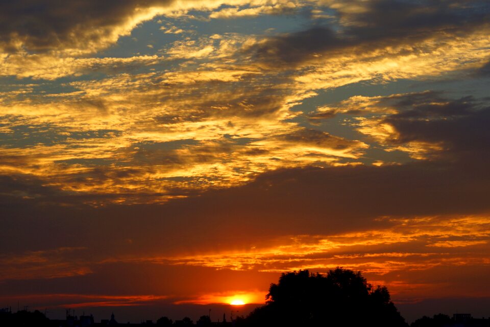 Nature summer landscape