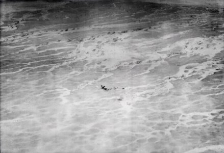 ETH-BIB-Tierherde in der Sahara-Tschadseeflug 1930-31-LBS MH02-08-0049