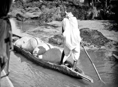 ETH-BIB-Transport im Kanu auf dem Niger-Tschadseeflug 1930-31-LBS MH02-08-0518