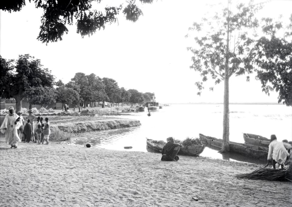 ETH-BIB-Ufer eines Sees, mit Einbäumen im Wasser-Tschadseeflug 1930-31-LBS MH02-08-0137