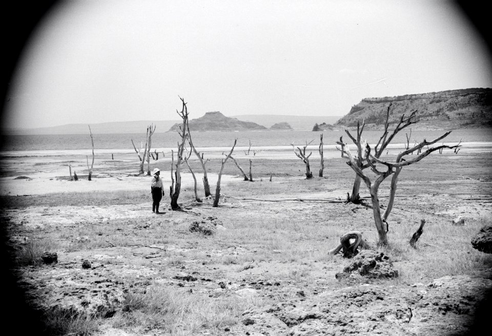 ETH-BIB-Ufer des Salzsees von Oro Shallo -Shallasee-, 200 km südlich von Addis Abeba-Abessinienflug 1934-LBS MH02-22-0579