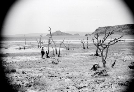 ETH-BIB-Ufer des Salzsees von Oro Shallo -Shallasee-, 200 km südlich von Addis Abeba-Abessinienflug 1934-LBS MH02-22-0579