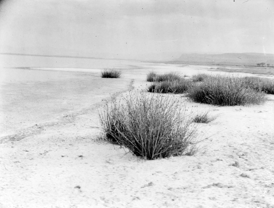 ETH-BIB-Ufer eines Sees in Afrika-Kilimanjaroflug 1929-30-LBS MH02-07-0207