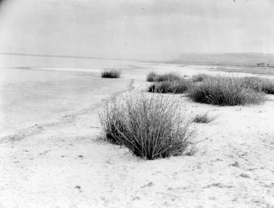 ETH-BIB-Ufer eines Sees in Afrika-Kilimanjaroflug 1929-30-LBS MH02-07-0207