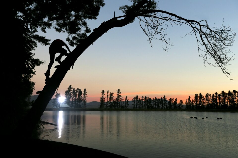 Tree plant lake