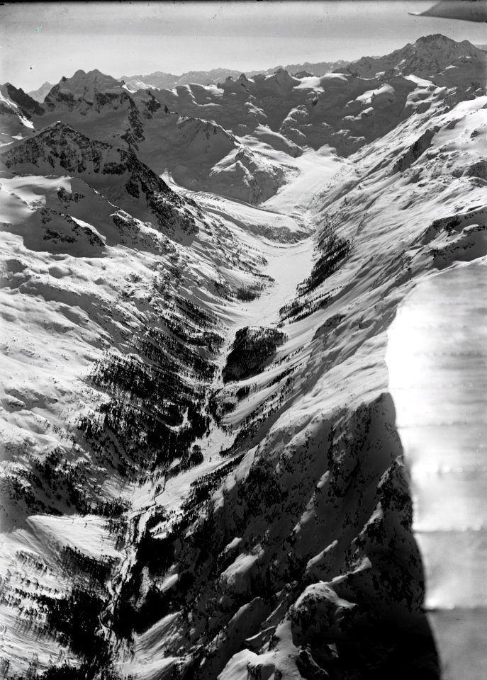 ETH-BIB-Vadret da Roseg, Piz Roseg, Piz Tschierva, Sella, Monte della Disgrazia aus 4000 m-Inlandflüge-LBS MH01-001552