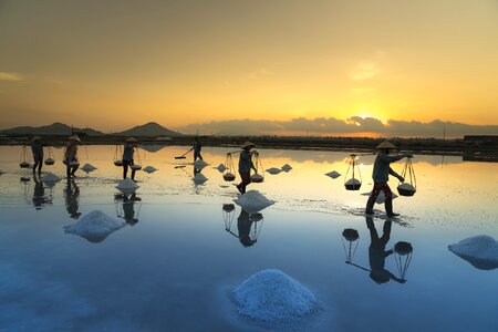 Field khanh hoa province photo