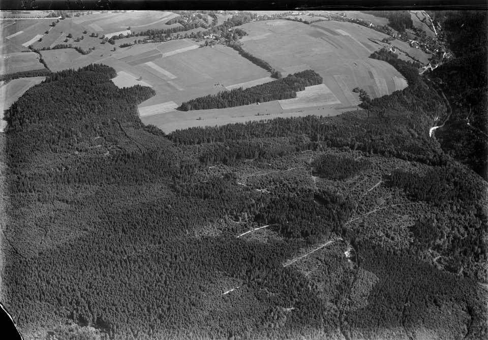 ETH-BIB-Valangin, Bussy v. S. aus 1200 m-Inlandflüge-LBS MH01-005299