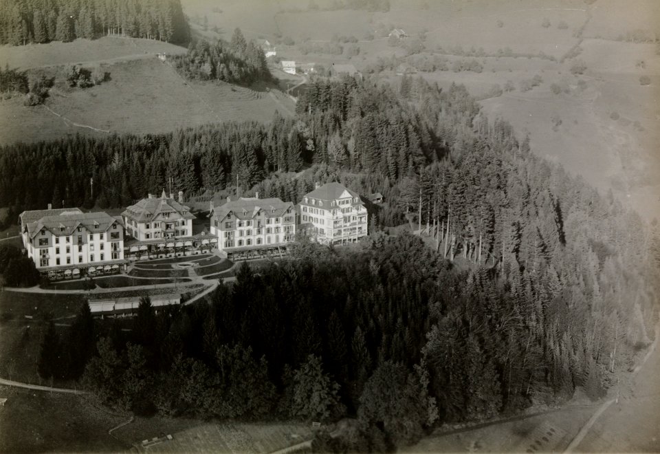 ETH-BIB-Wald (ZH), Zürcher Höhenklinik-Inlandflüge-LBS MH03-1397