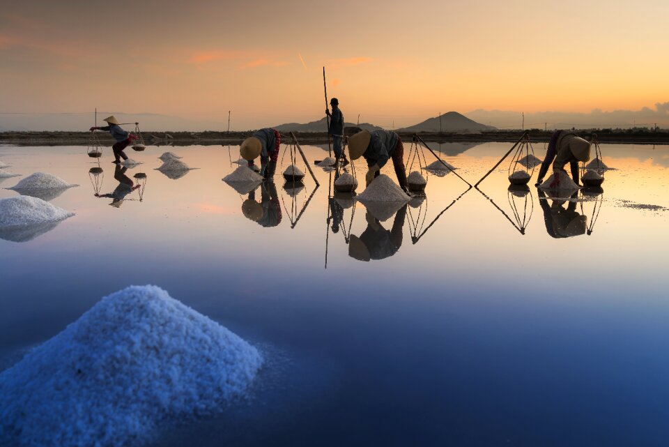 Field khanh hoa province