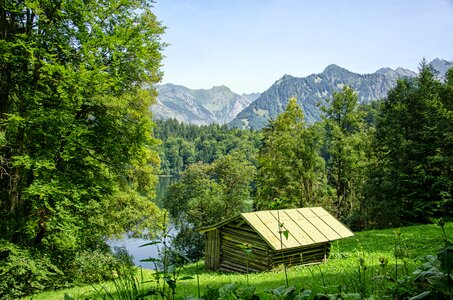 Mountains forest trees photo