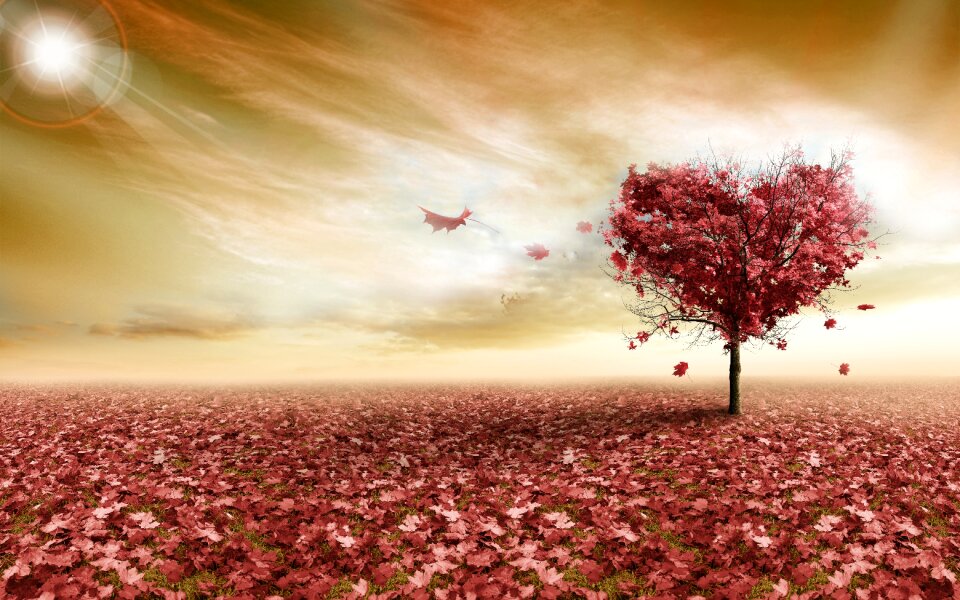 The landscape background 3d