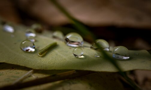 Water raindrops blur