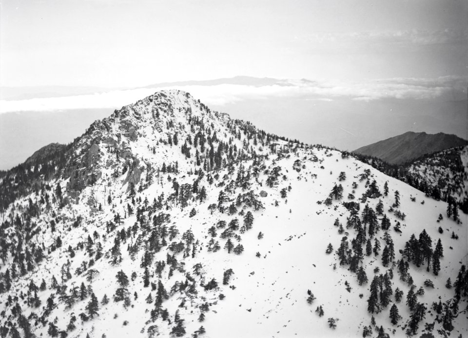 ETH-BIB-Wir fliegen nahe an den Riffbergen vorbei nach Fes, bis auf 2000 m Höhe gehen Zedern und Kiefern-Tschadseeflug 1930-31-LBS MH02-08-0221