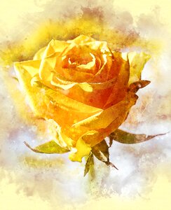 Love romance anniversary