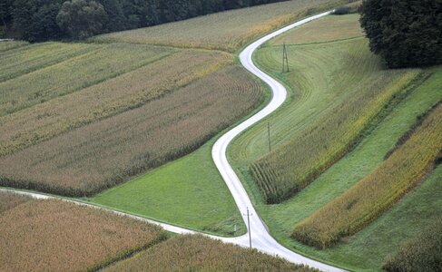 View road fields