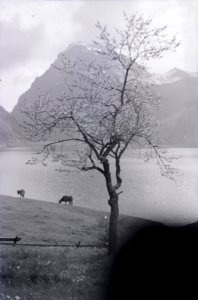 ETH-BIB-Wägitalersee-Inlandflüge-LBS MH05-79-27