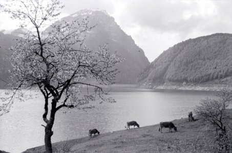 ETH-BIB-Wägitalersee-Inlandflüge-LBS MH05-79-24