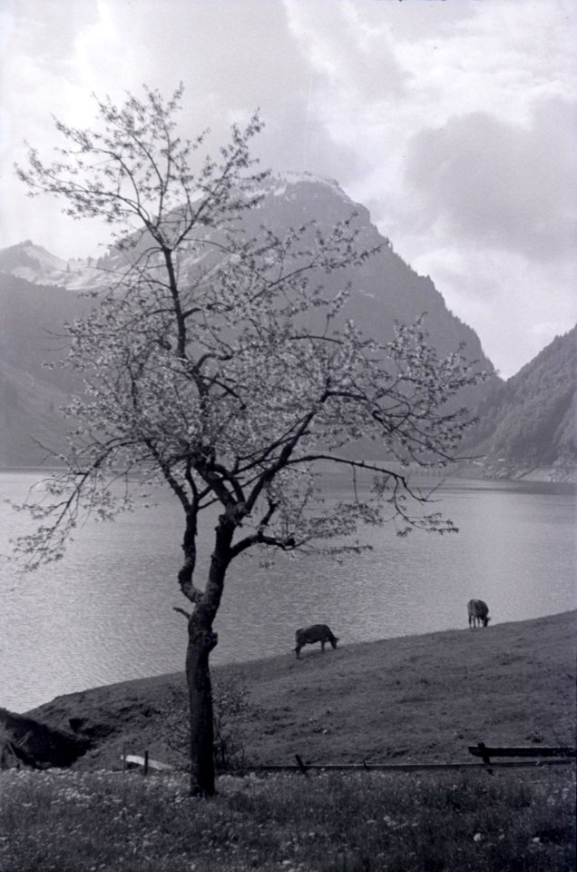 ETH-BIB-Wägitalersee-Inlandflüge-LBS MH05-79-26