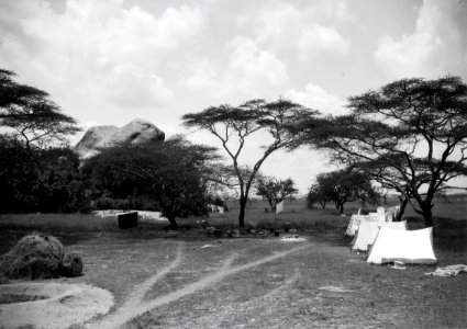 ETH-BIB-Zelte im Camp Serengeti-Kilimanjaroflug 1929-30-LBS MH02-07-0501