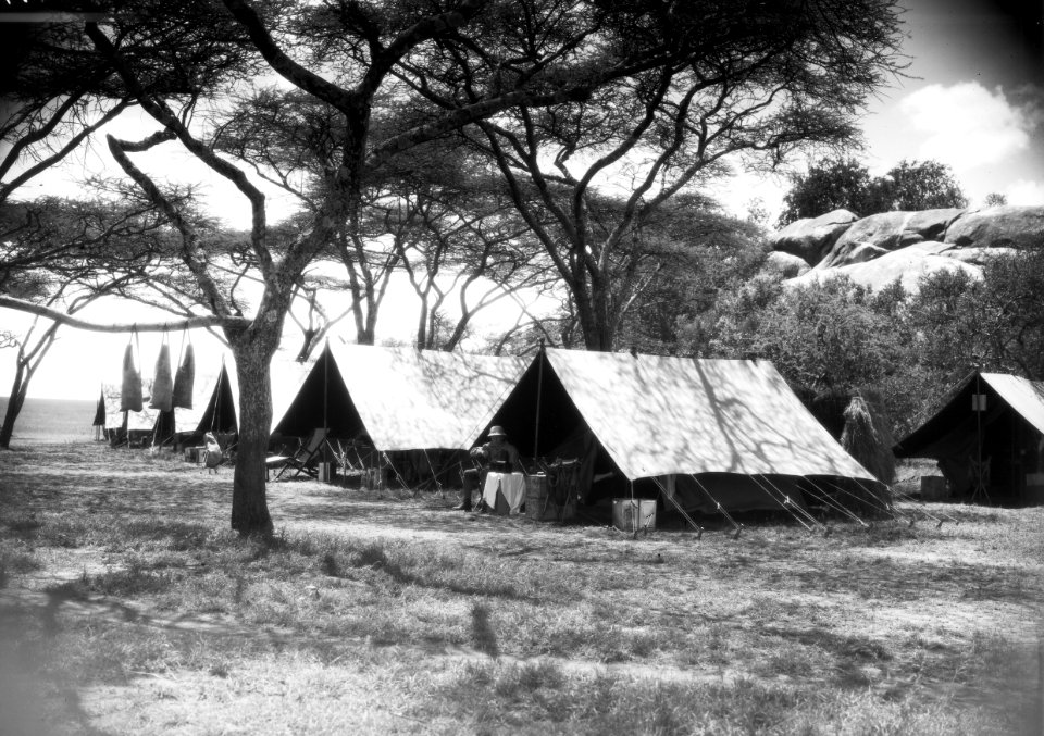 ETH-BIB-Zelte im Camp Serengeti-Kilimanjaroflug 1929-30-LBS MH02-07-0497