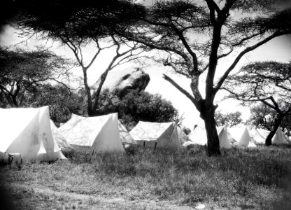 ETH-BIB-Zeltreihe im Camp Serengeti-Kilimanjaroflug 1929-30-LBS MH02-07-0504