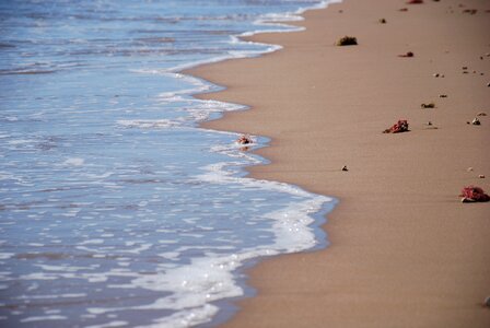 Beach sand wave photo