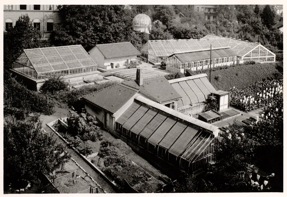 ETH-BIB-Zürich, ETH Zürich, Land- und Forstwirtschaftliches Institut, früherer Versuchsgarten, Glashäuser zwischen Land- und Forstwirtschafltiches Institut (LFW) und Eidgenössischer Sternwarte (STW)-Ans 03015-004