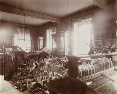 ETH-BIB-Zürich, ETH Zürich, Land- und Forstwirtschaftliches Institut, LF-Gebäude, Landwirtschaftliche Sammlung-Ans 00393
